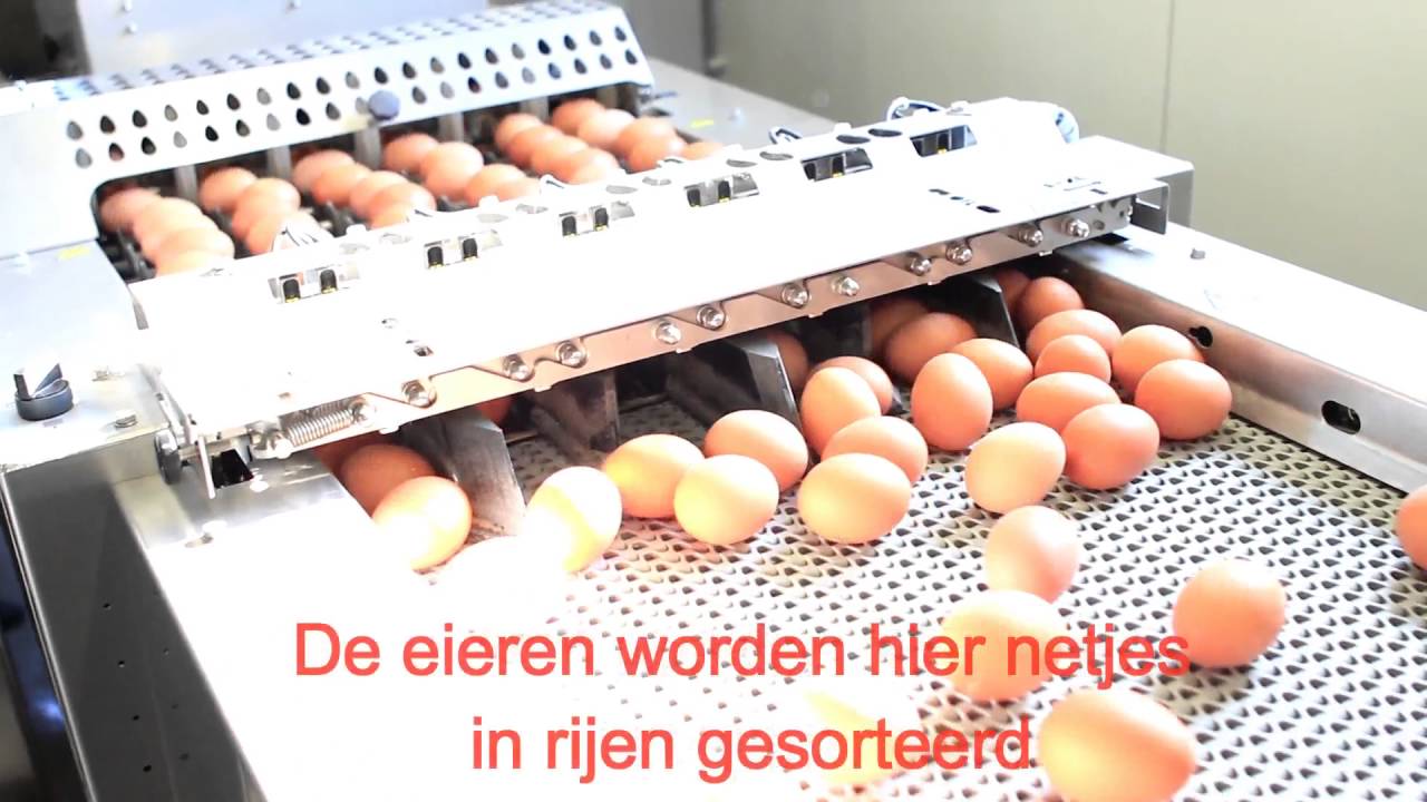 Pluimveebedrijf Verbeek