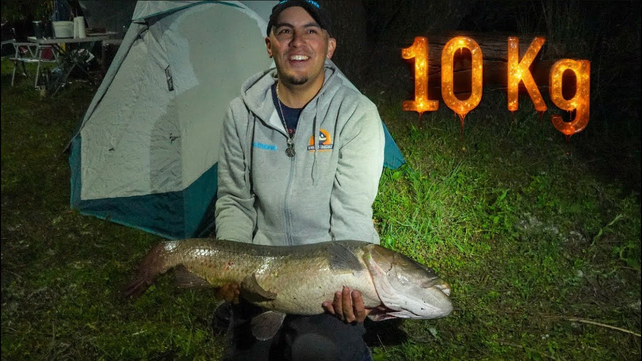 La Tararira de 10 Kilos del Rio Negro | Pesca Tarariras Uruguay