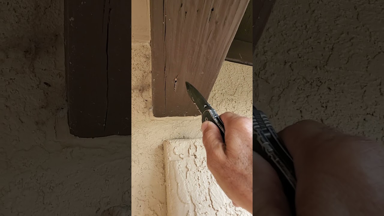 Termite damage patio support beam.