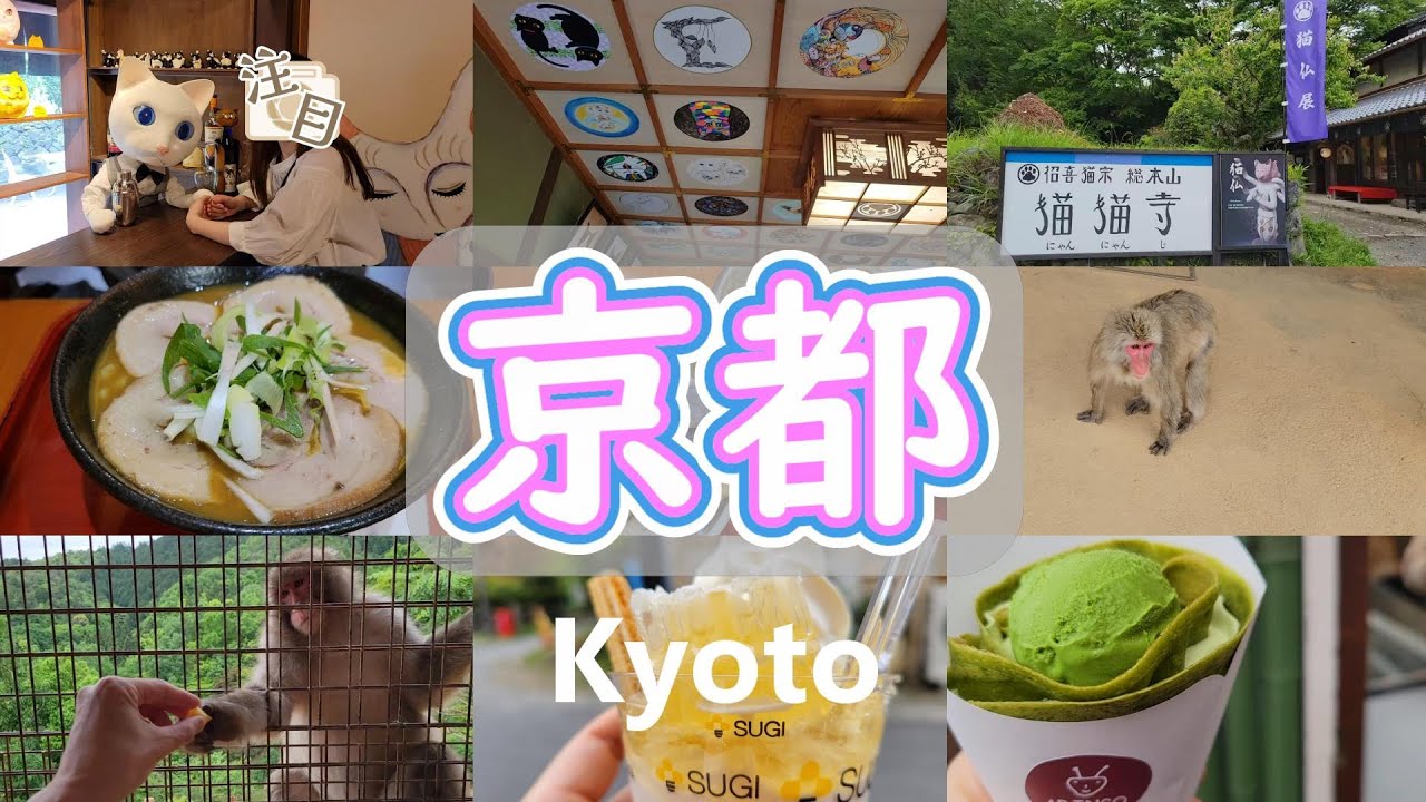 【京都観光／左京区＆嵐山】猫猫寺／外国人観光客で大賑わいのモンキーパーク♡／嵐山で食べ歩き♪