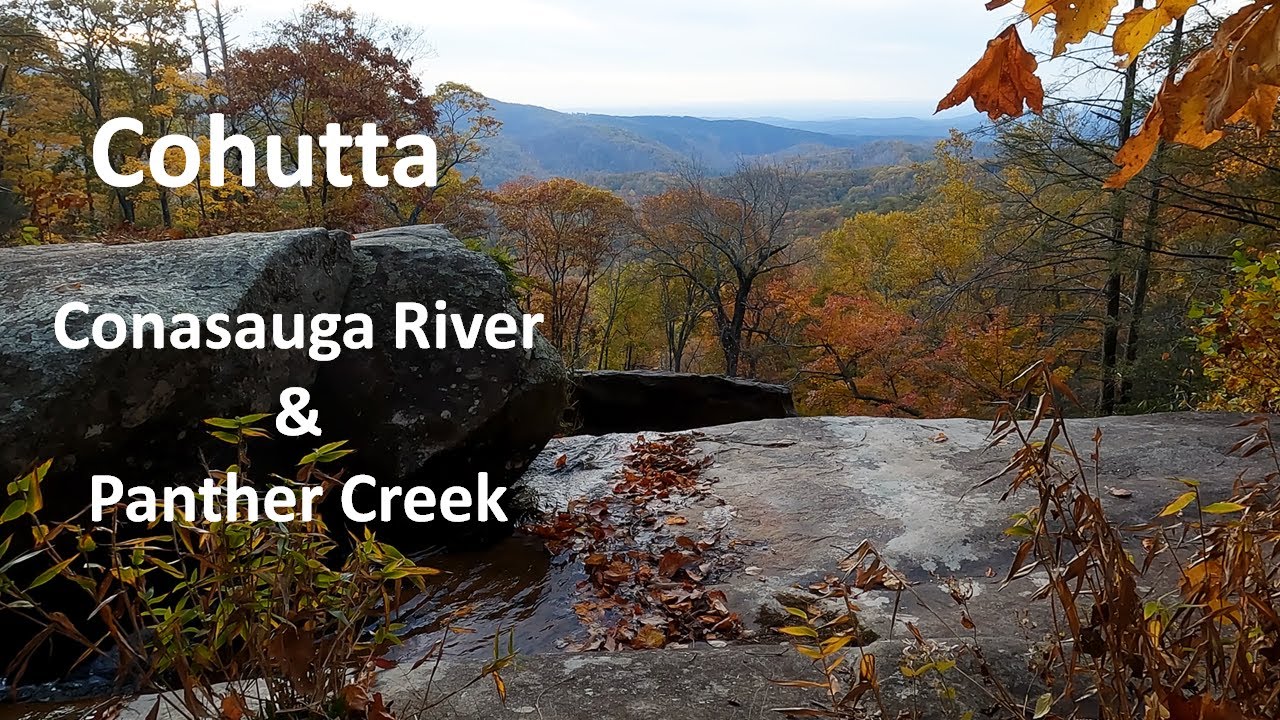 Cohutta:  Conasauga River & Panther Creek