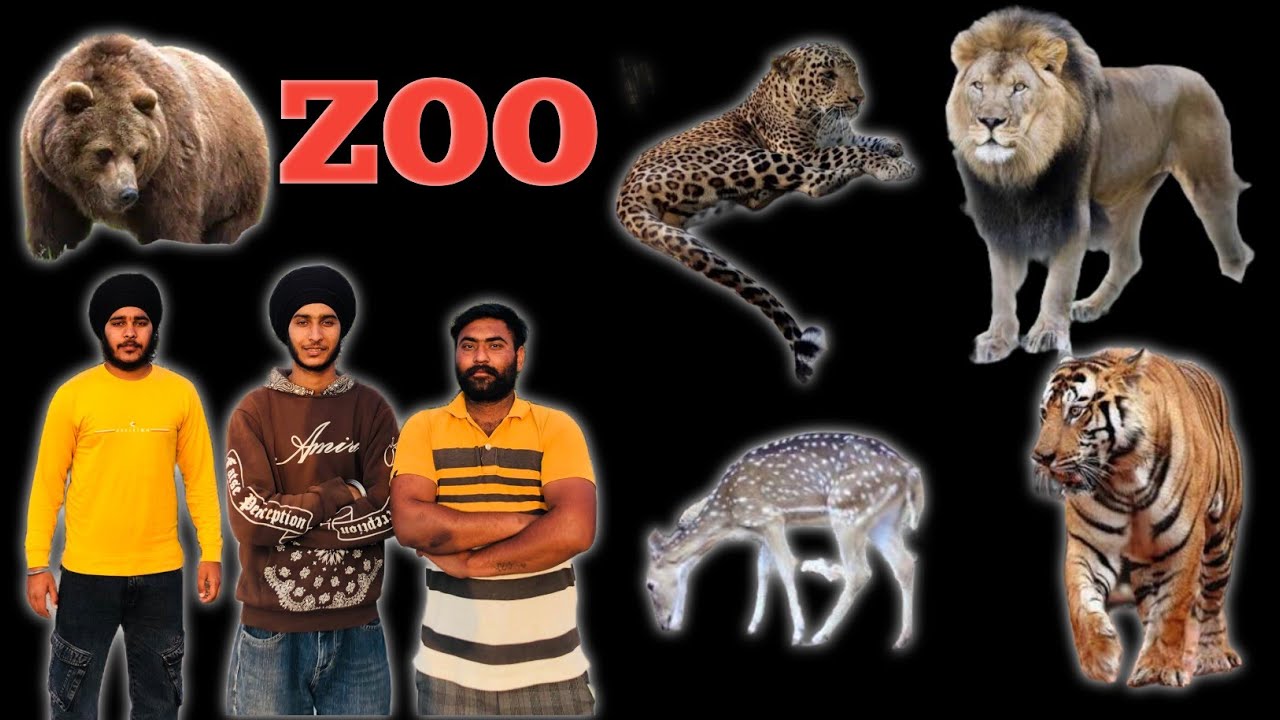 Ram ram sabhe baiya de aj aapa kota de zoo ch aye check kro vlog