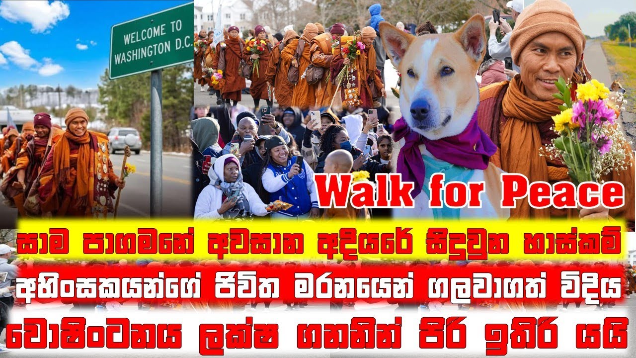 සාම පාගමනේ අවසාන අදියරේ සිදුවුන හාස්කම් @SandusDiary91