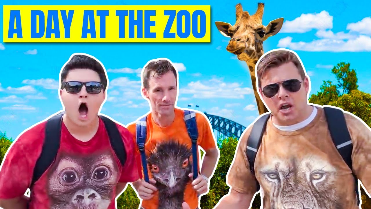 A Day At The Zoo
