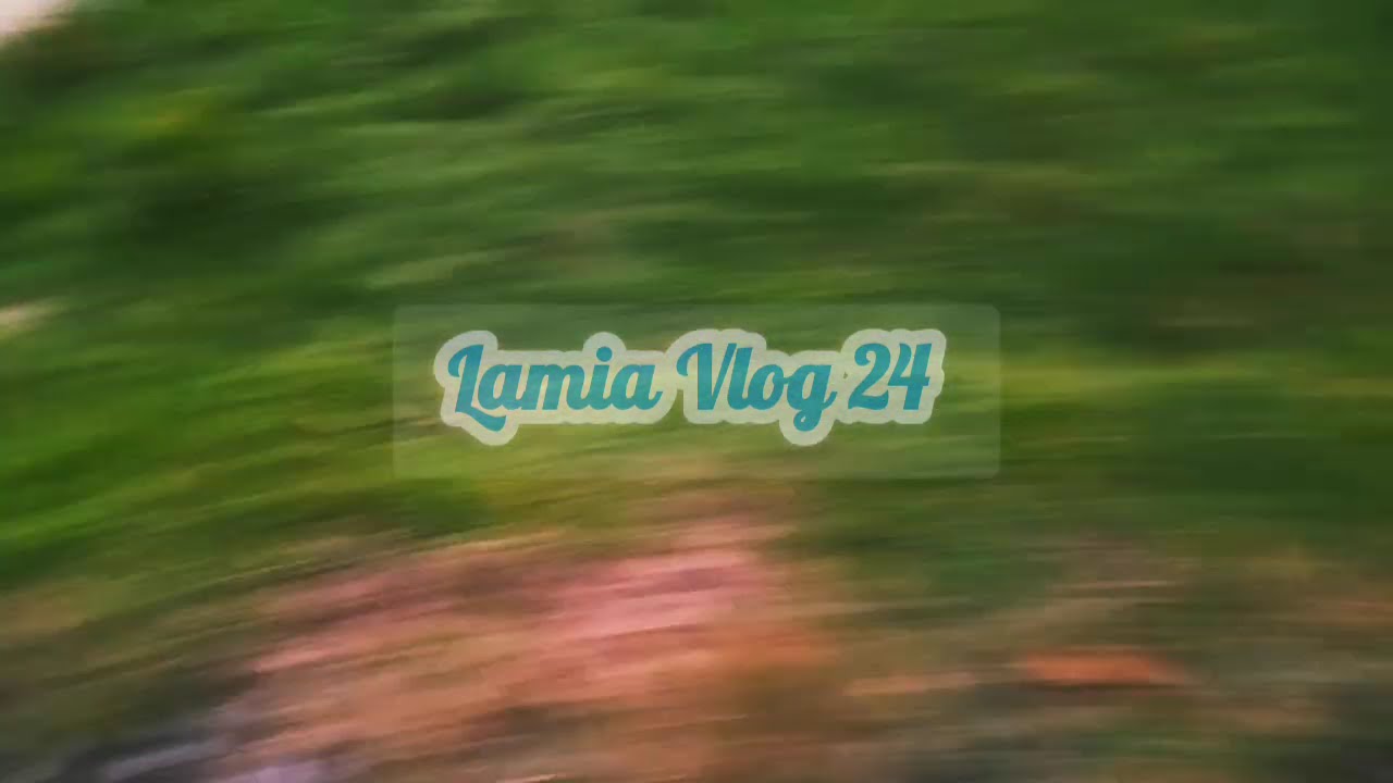 Vlog 57 | Review of Beautiful rice plant in my Brother garden | Lamia Vlog | Choti Golpo