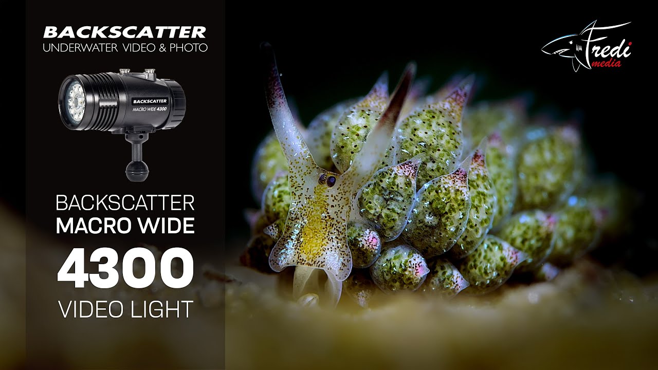 Backscatter Macro Wide 4300 Showcase - Fredi Schaschl