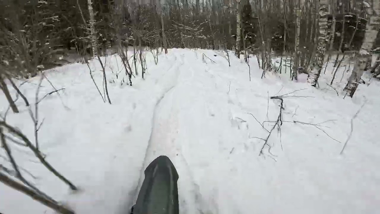 Studded Tires On Stark Varg EX - Kukemetsa Enduro Lap