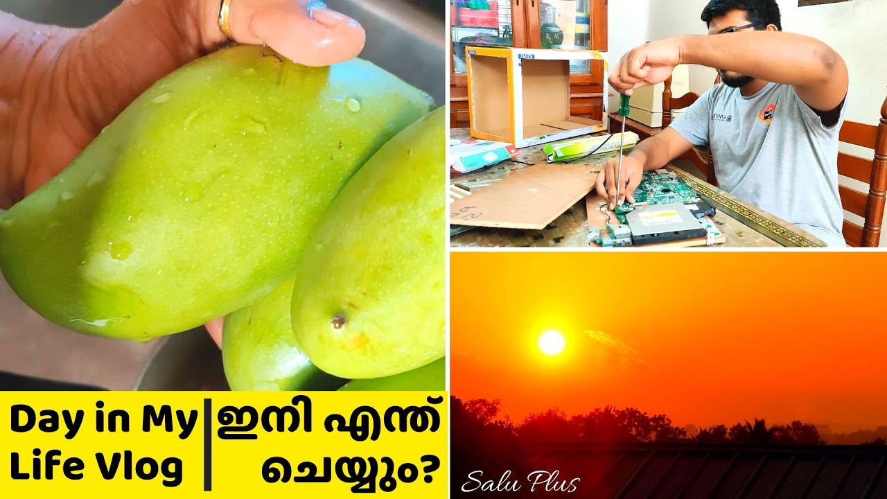 അങ്ങനെ laptop ന്റെ കാര്യത്തിൽ തീരുമാനം ആയി | Day in My Life Vlog | Breakfast | Chores