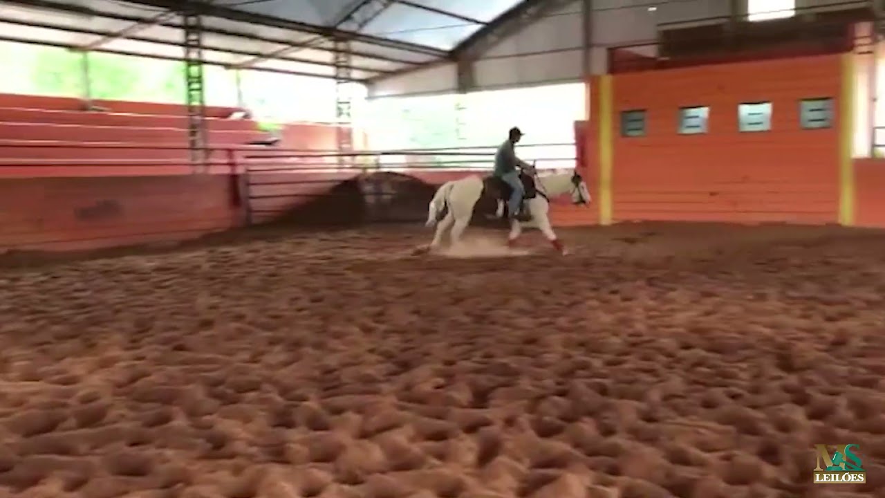 LOTE 13 - KALENAH PEP GUN YBJ