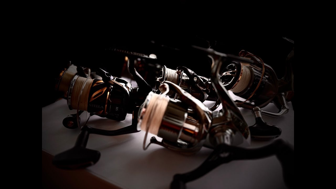 Porównanie najlepszych kołowrotków wędkarskich Shimano. Stella czy Twin Power? Który wybrać?