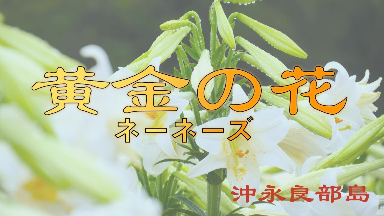 「黄金の花」にのせて　（仲田正枝）(映像：＃沖永良部島）