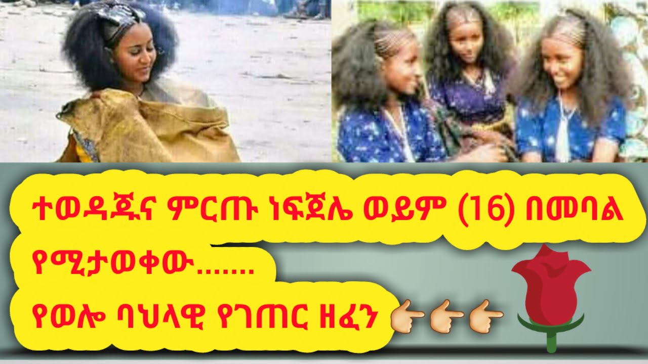 አካሄዴ መልካም ቁመና ድልድል ደስ ትይኛለሽ እንደ ሀብታም እድል|#የገጠር_ዘፈን#ወሎ #ቃሉ_ሚዲያ #ethiopia_music #music #ebs#kallumedia