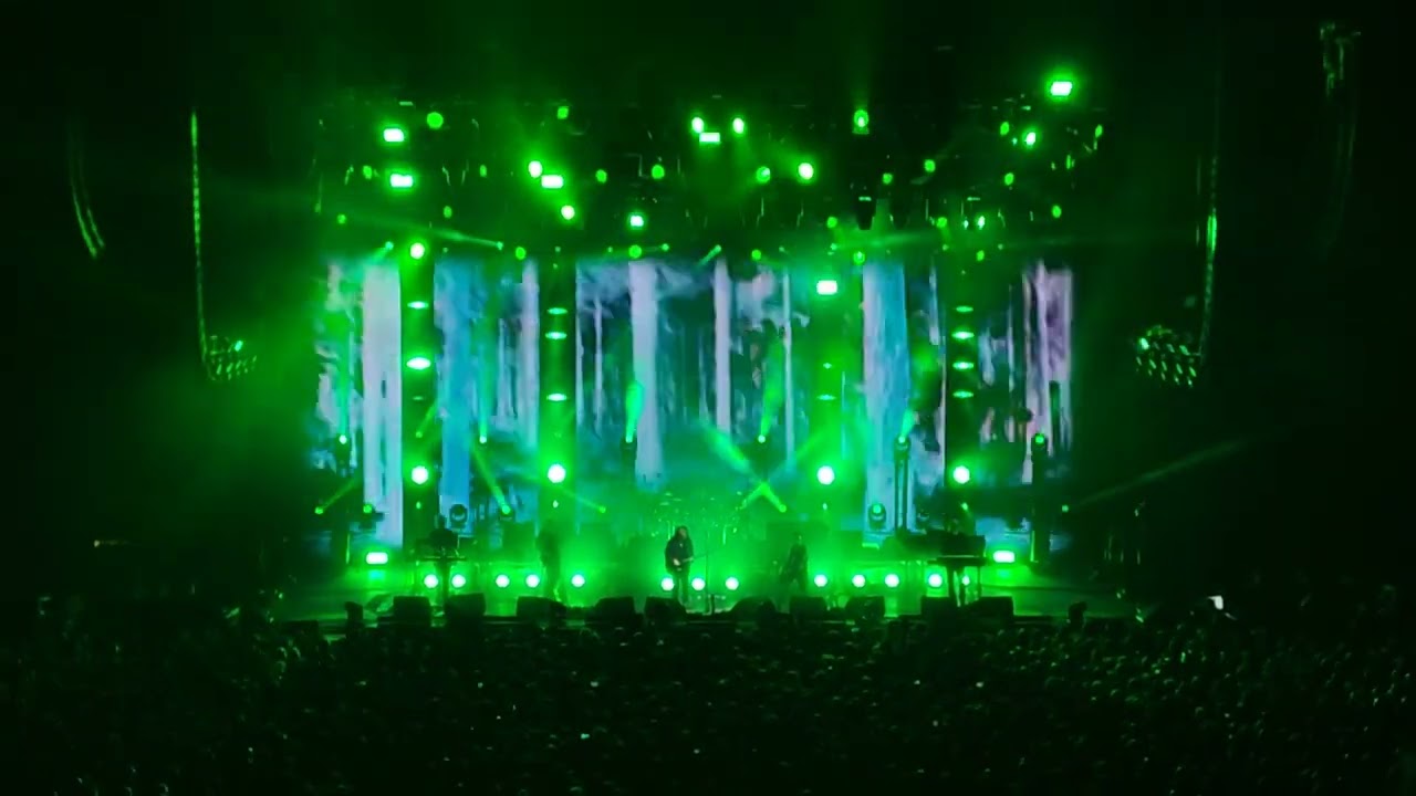 The cure - Nantes - 15/11/2022 - A forest