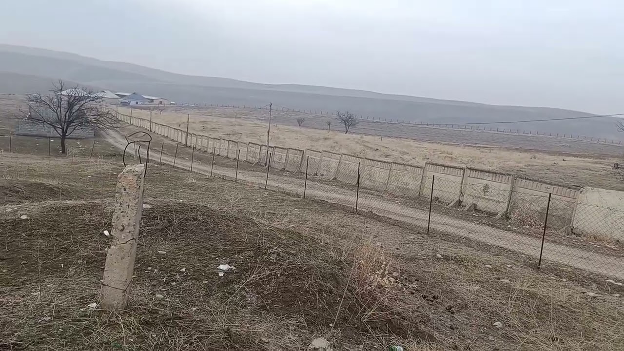 Сүйүнчү сүйүнчү?