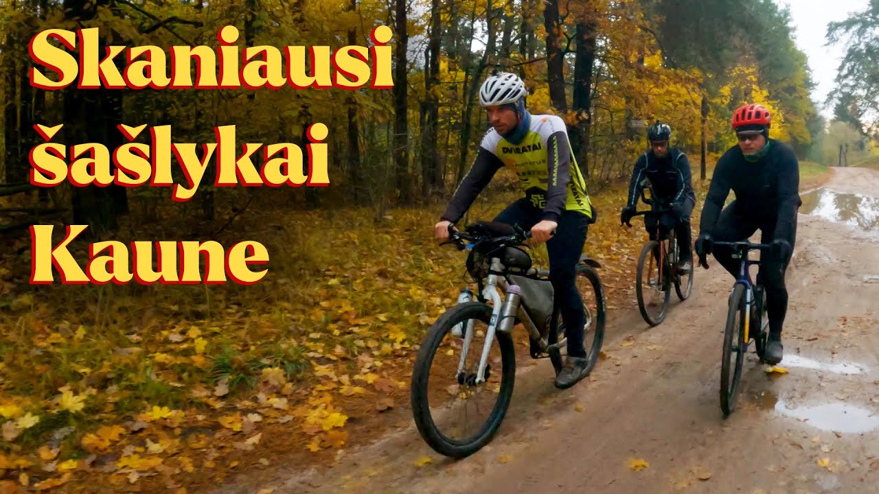 Važiuojam šašlykų į Ringaudus