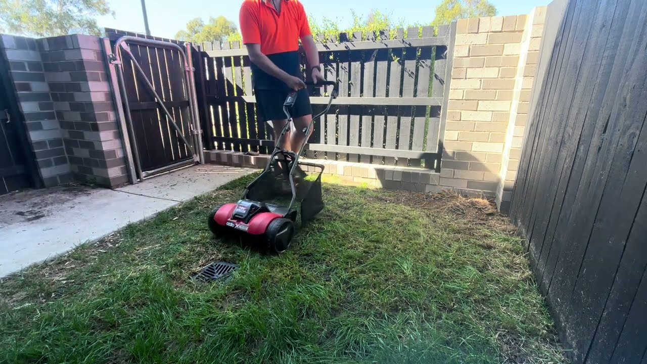 Not much Growth - NO PROBLEM! #certified #youtuber #youtubeshorts#lawncare #diy