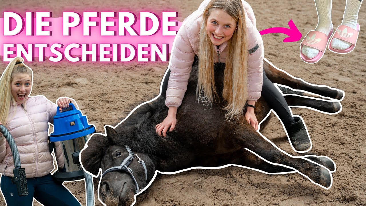 KEINE KONTROLLE - Die Ponys entscheiden Part ll