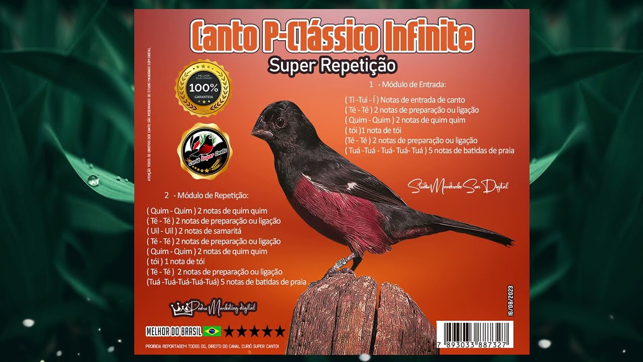CANTO P-CLÁSSICO INFINITE ♪