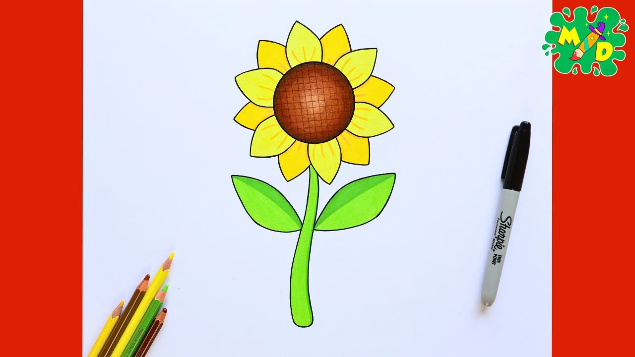 How to Draw a Sunflower Step-by-Step | Easy Drawing Tutorial for Beginners 🎨