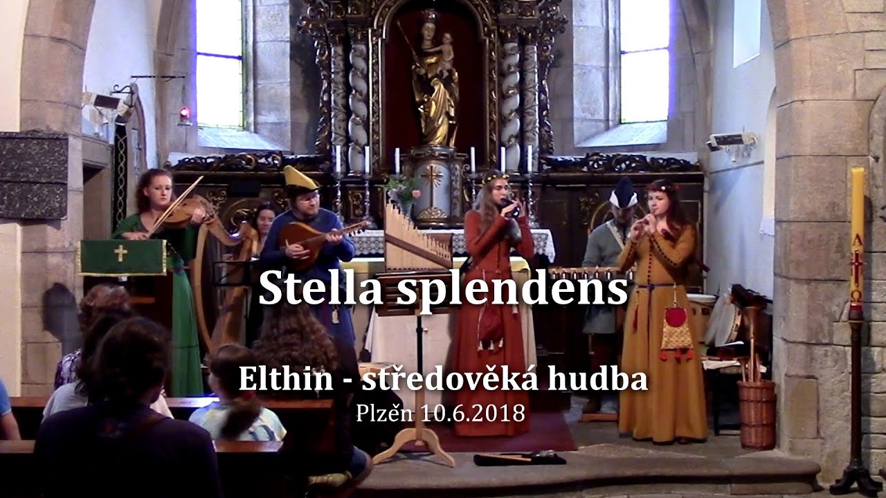 𝕰𝖑𝖙𝖍𝖎𝖓 - Stella splendens