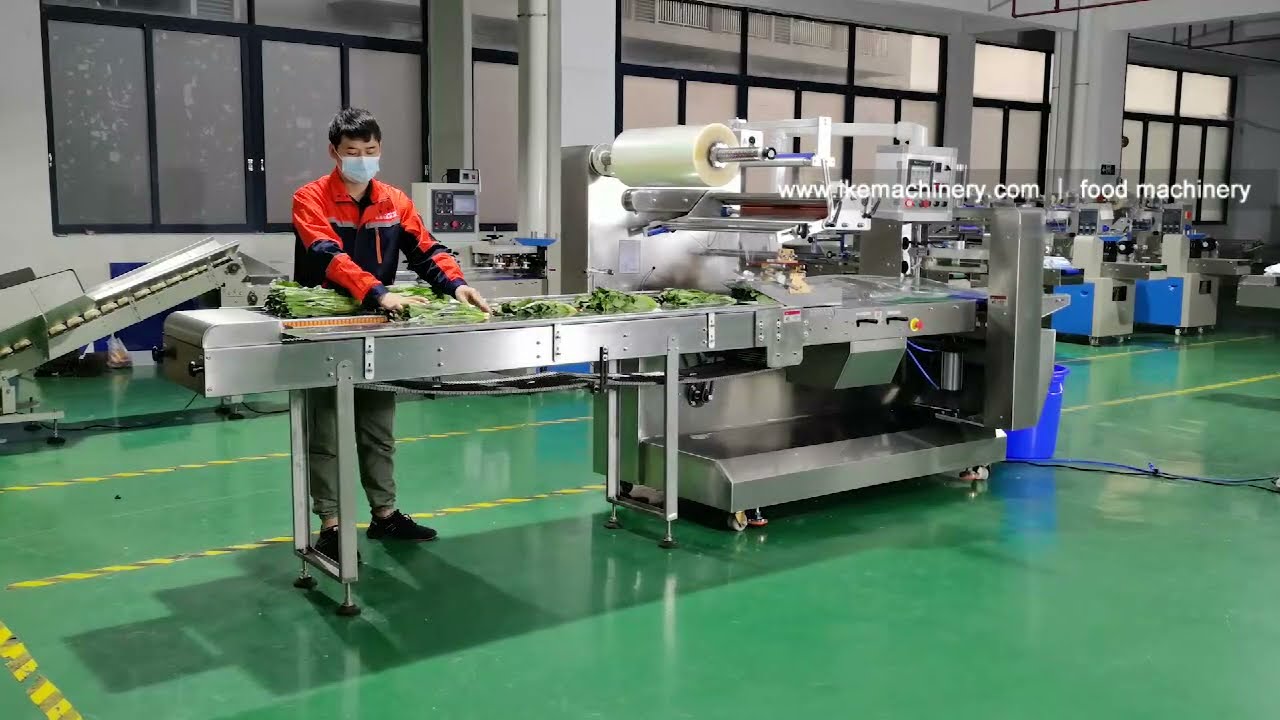 Vegetable packing machine