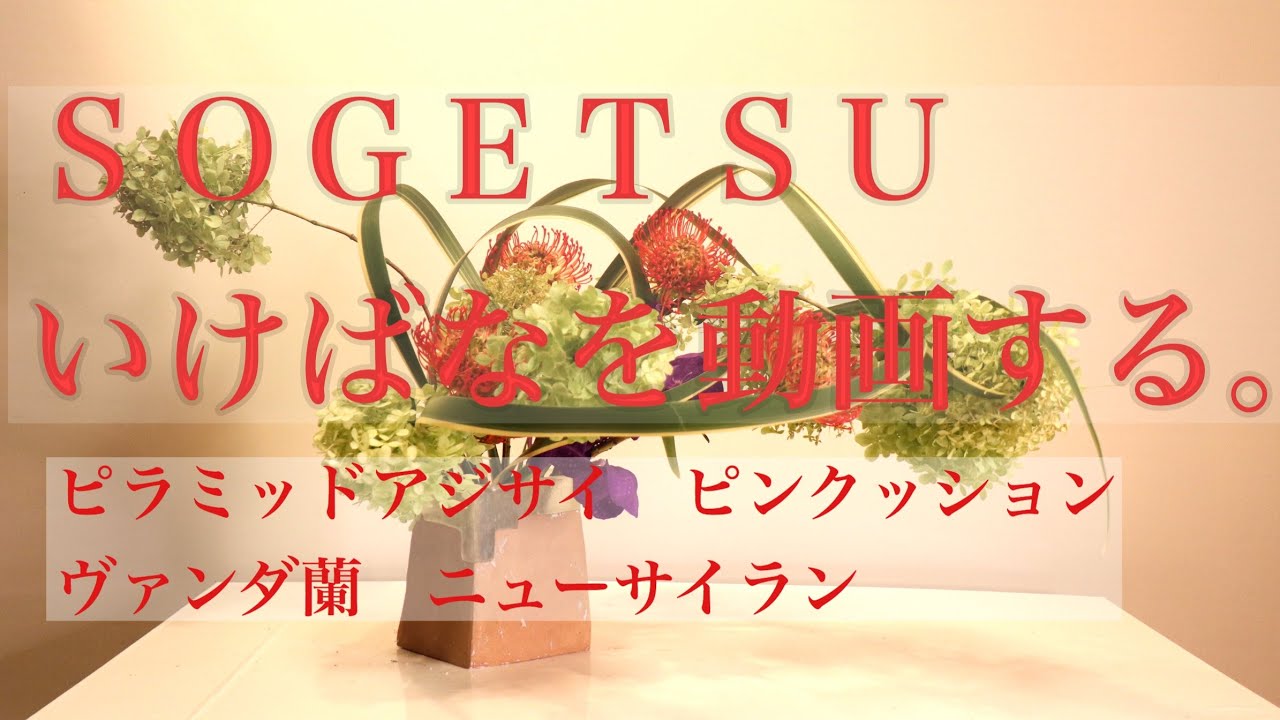 嶋直香生け花を動画する。No.319
