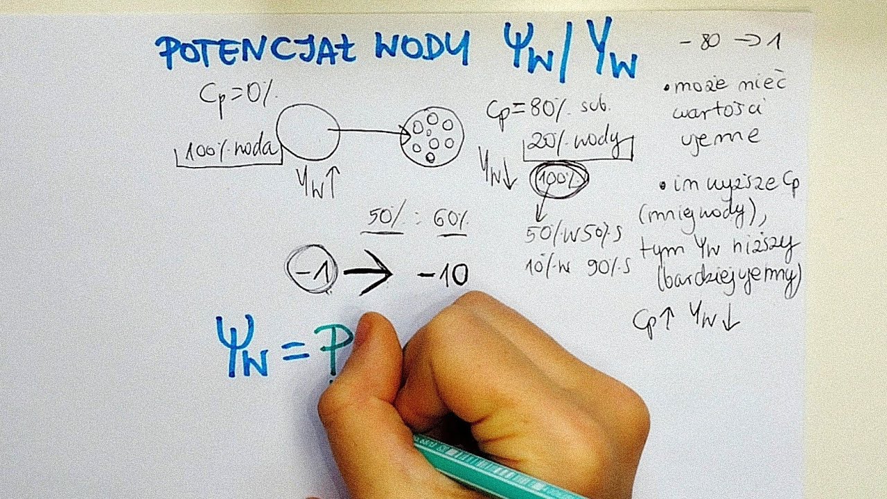 POTENCJAŁ WODY, CIŚNIENIE TURGOROWE, CIŚNIENIE OSMOTYCZNE-o co chodzi