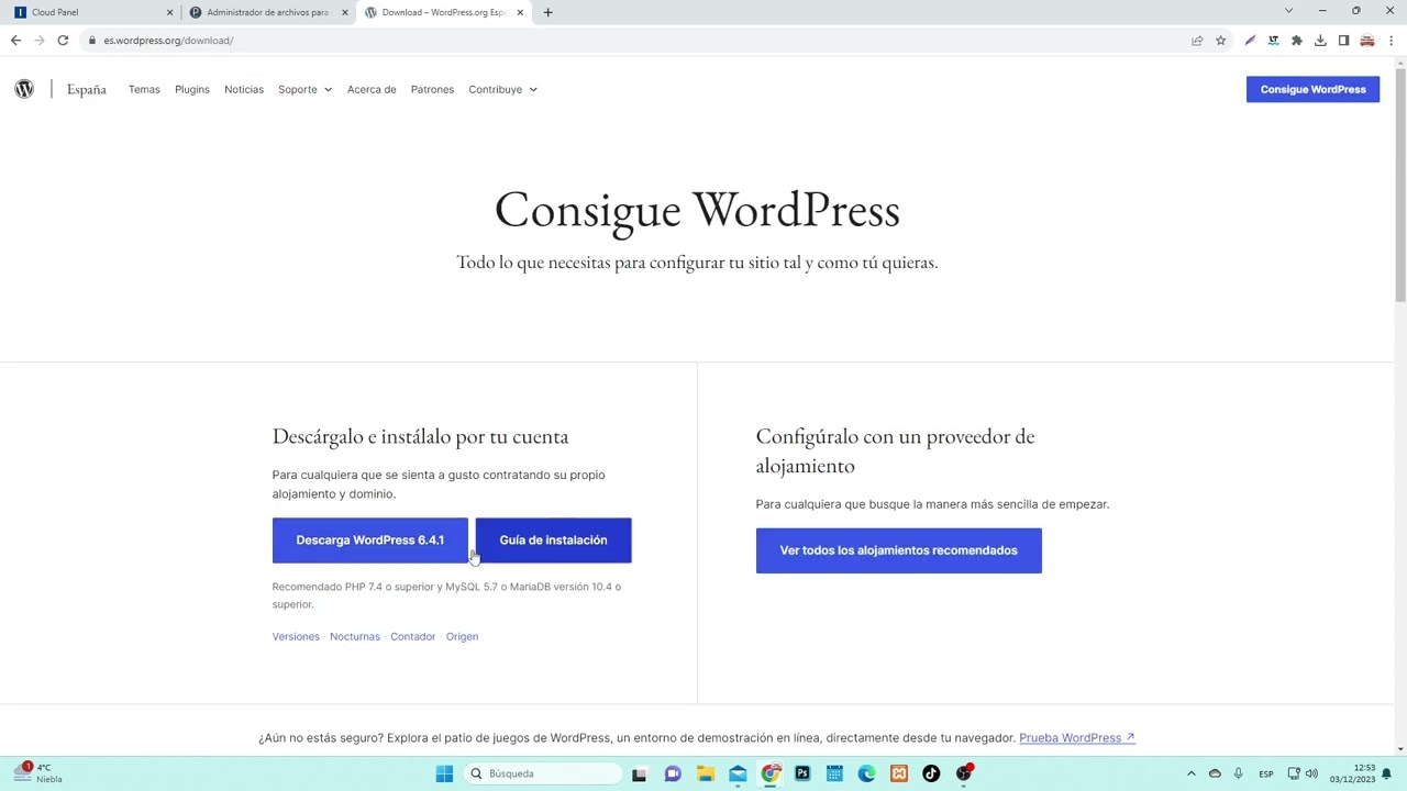 Como instalar WordPress última versión en un hosting con panel plesk, con PHP 8.2