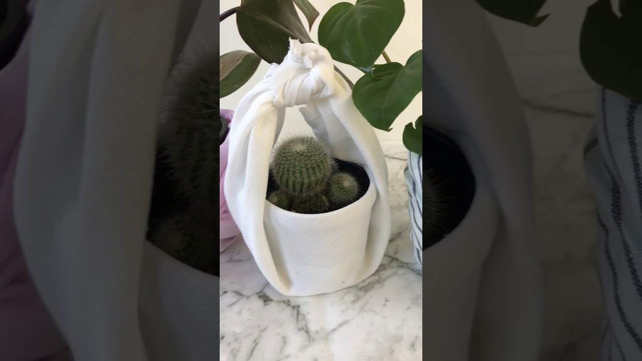 Furoshiki: How to Fabric Wrap Planters two ways