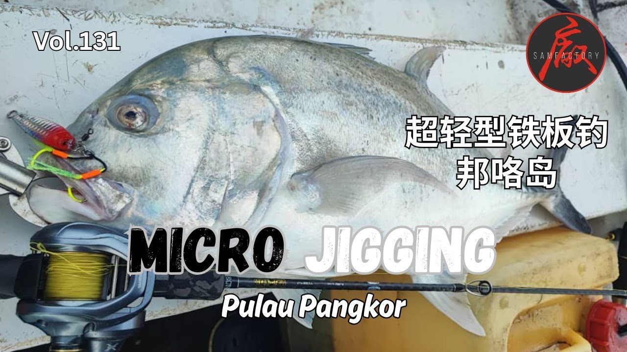 VOL.131 PULAU PANGKOR MICRO JIGGING 邦咯岛微型铁板钓 #fishing #fishingvideos #钓鱼技巧 #microjigging