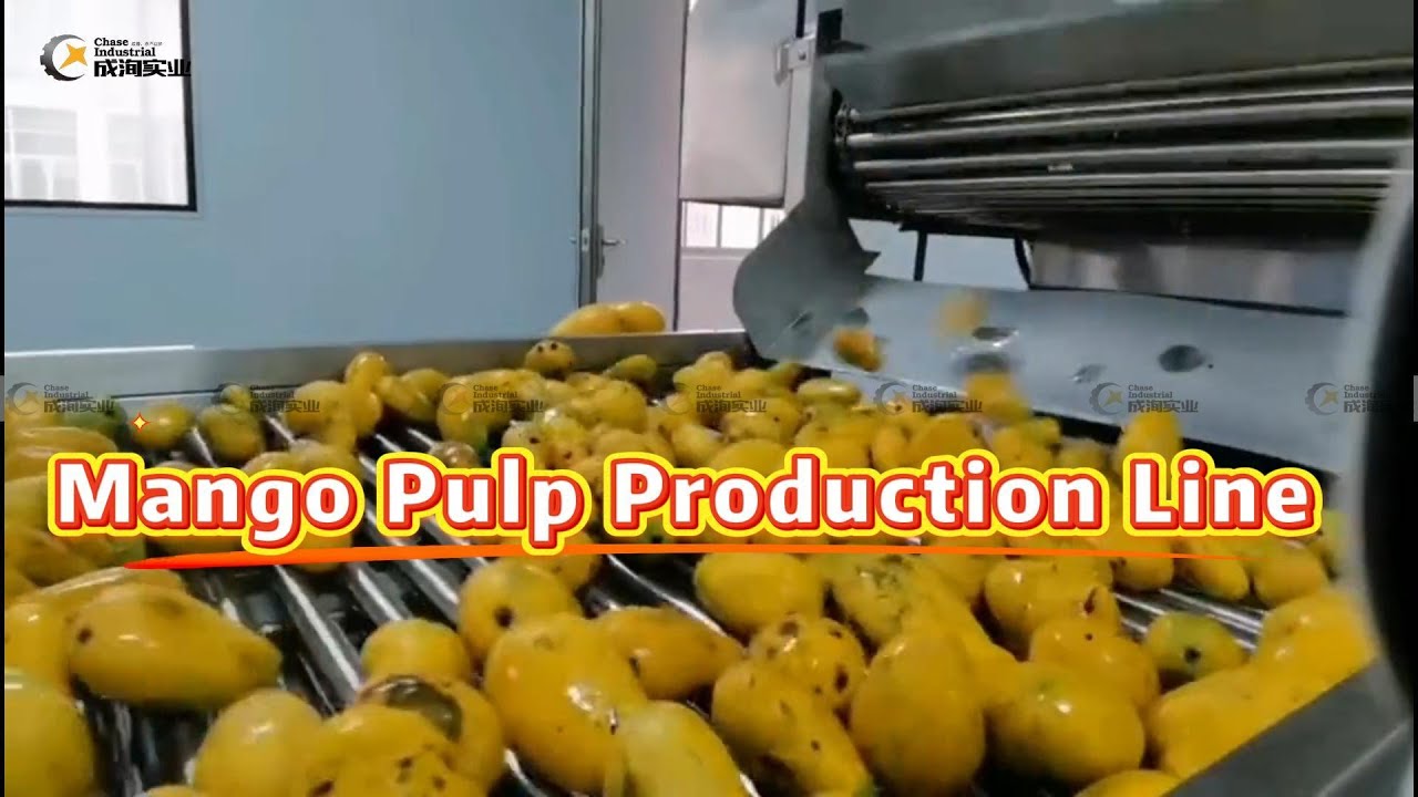 Turnkey Project for Mango Pulp Production Line