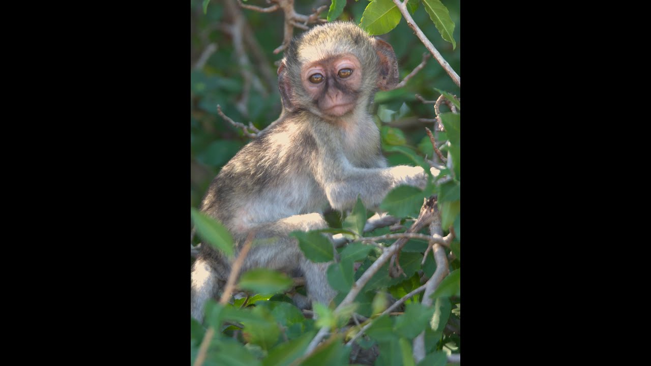 Mjejane and Kruger National Park