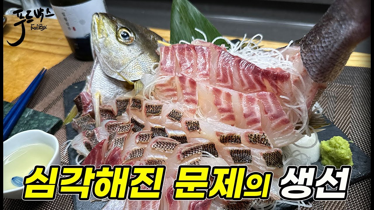 맛있기로 유명한 생선이 갑자기 이상해진 상황... 그르고  자연산 벤자리는 언제  먹을 수 있나?