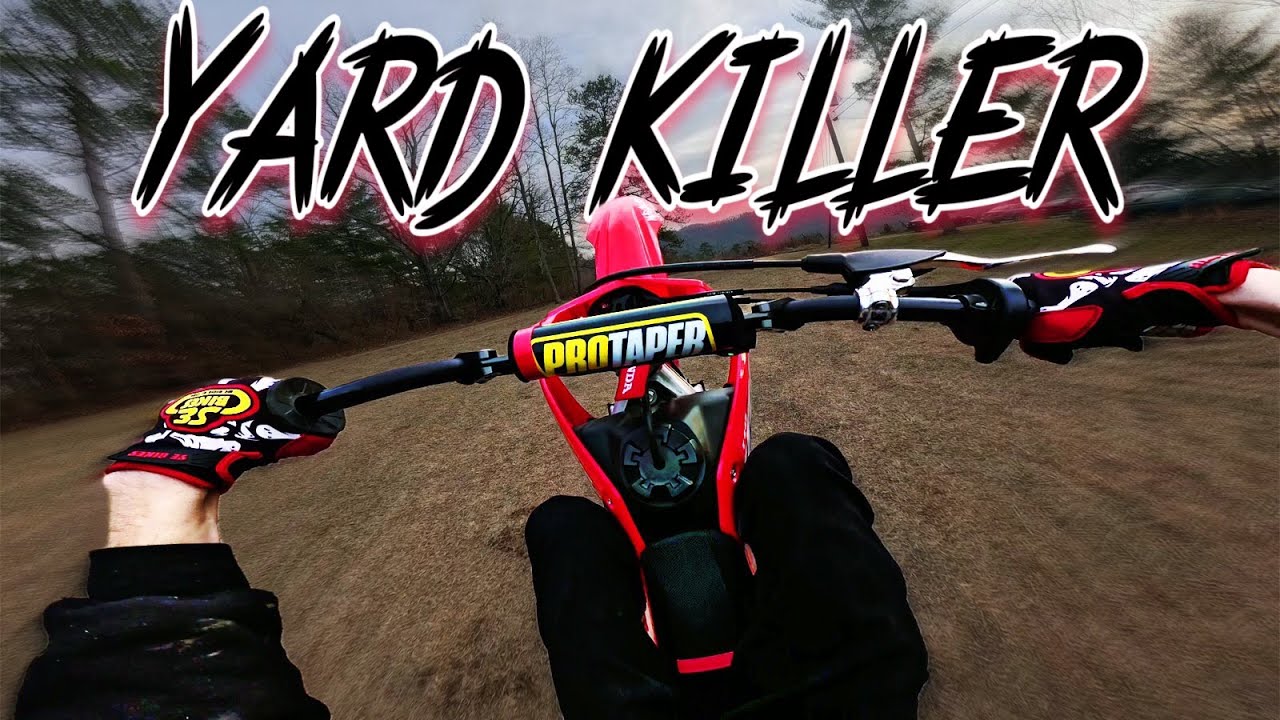 Honda CRF110F Is The Best Pit Bike!