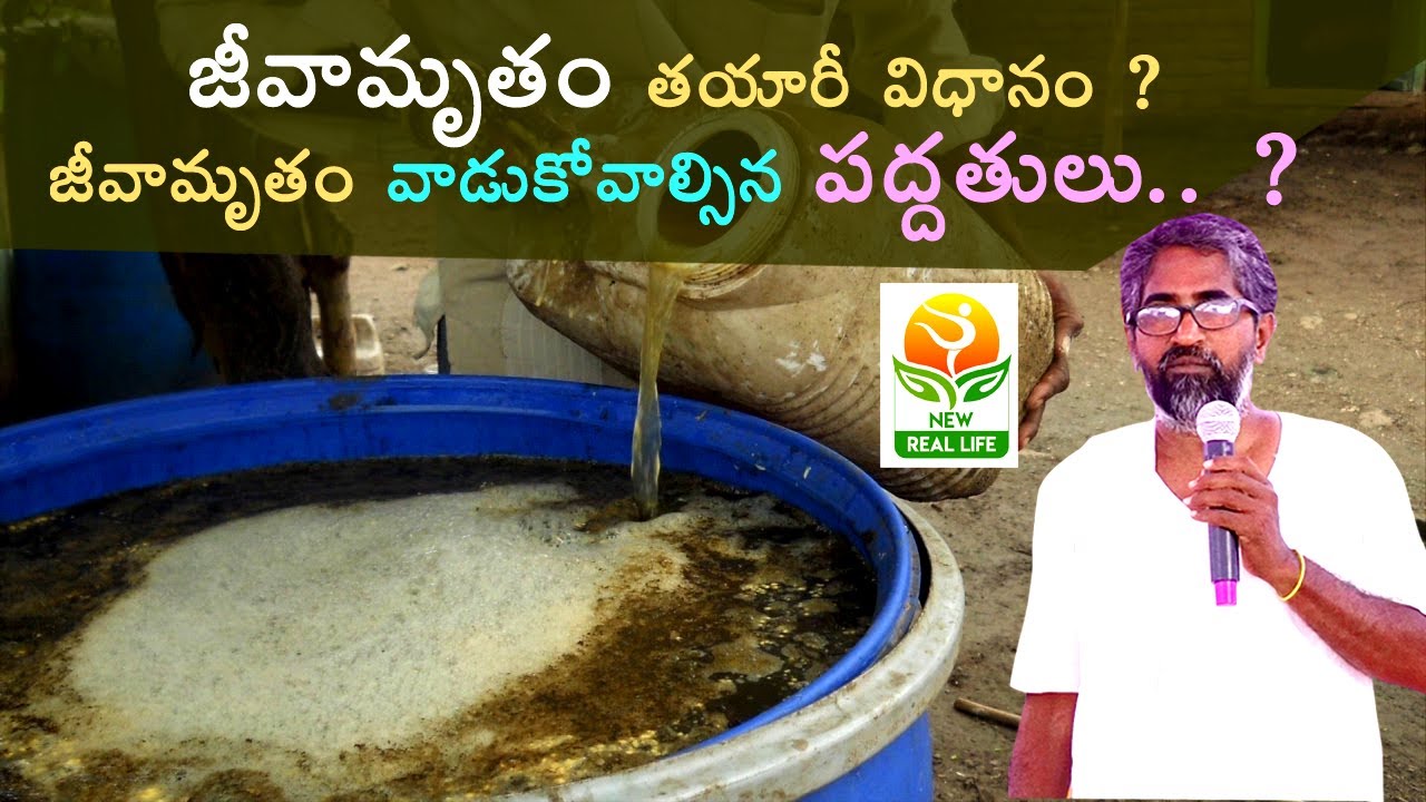 How To Prepare Jeevamrutham |HowToUse Jeevamrutham |Vijayaram | జీవామృతంతయారీవిధానం | NewRealLifeTv