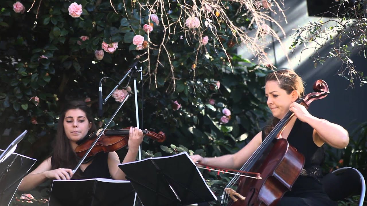 Passenger Let Her Go - Red Soda String Quartet