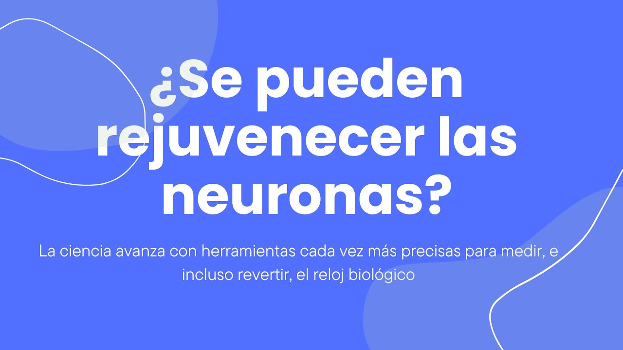 ¿Se pueden rejuvenecer las neuronas?