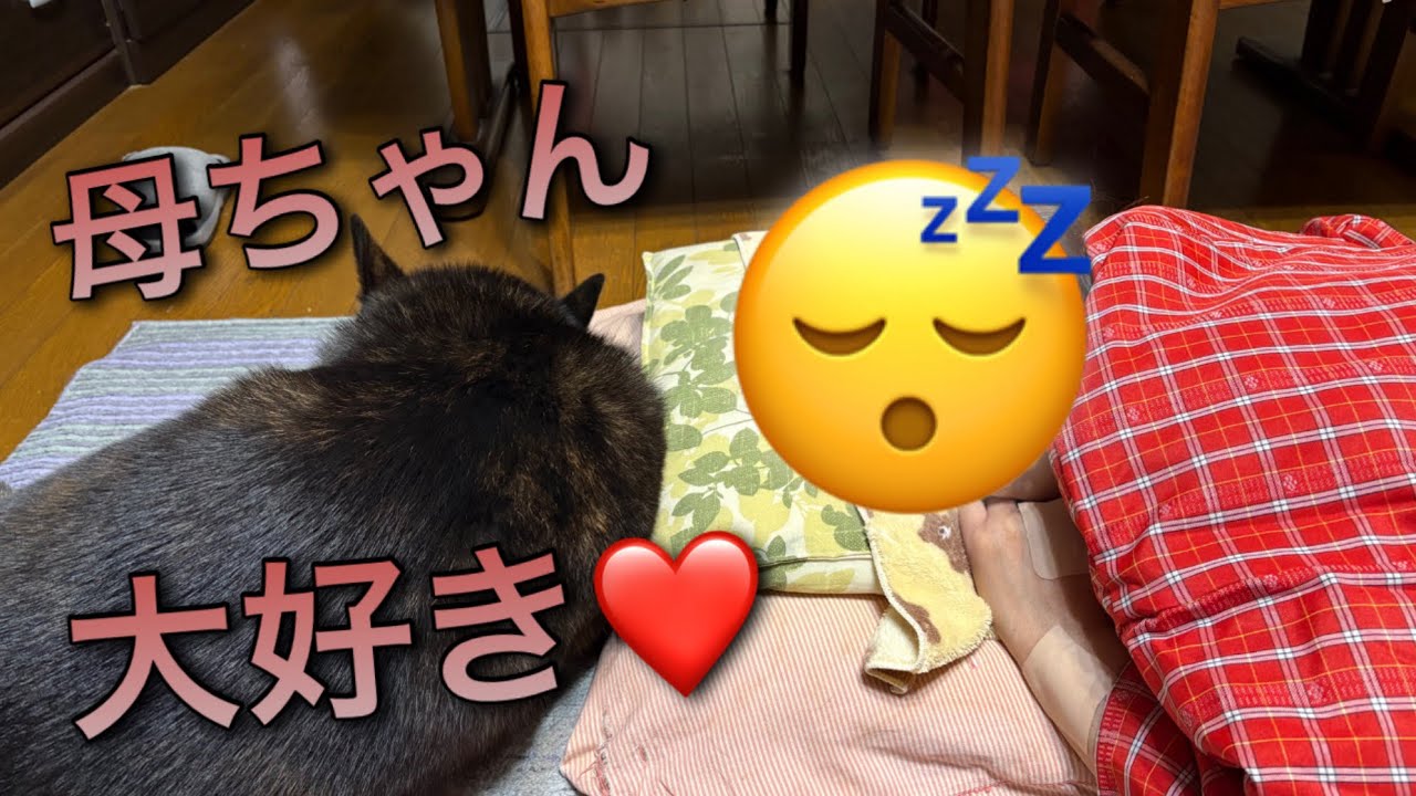 #テーブルマナーを教えてやるぜぇ！