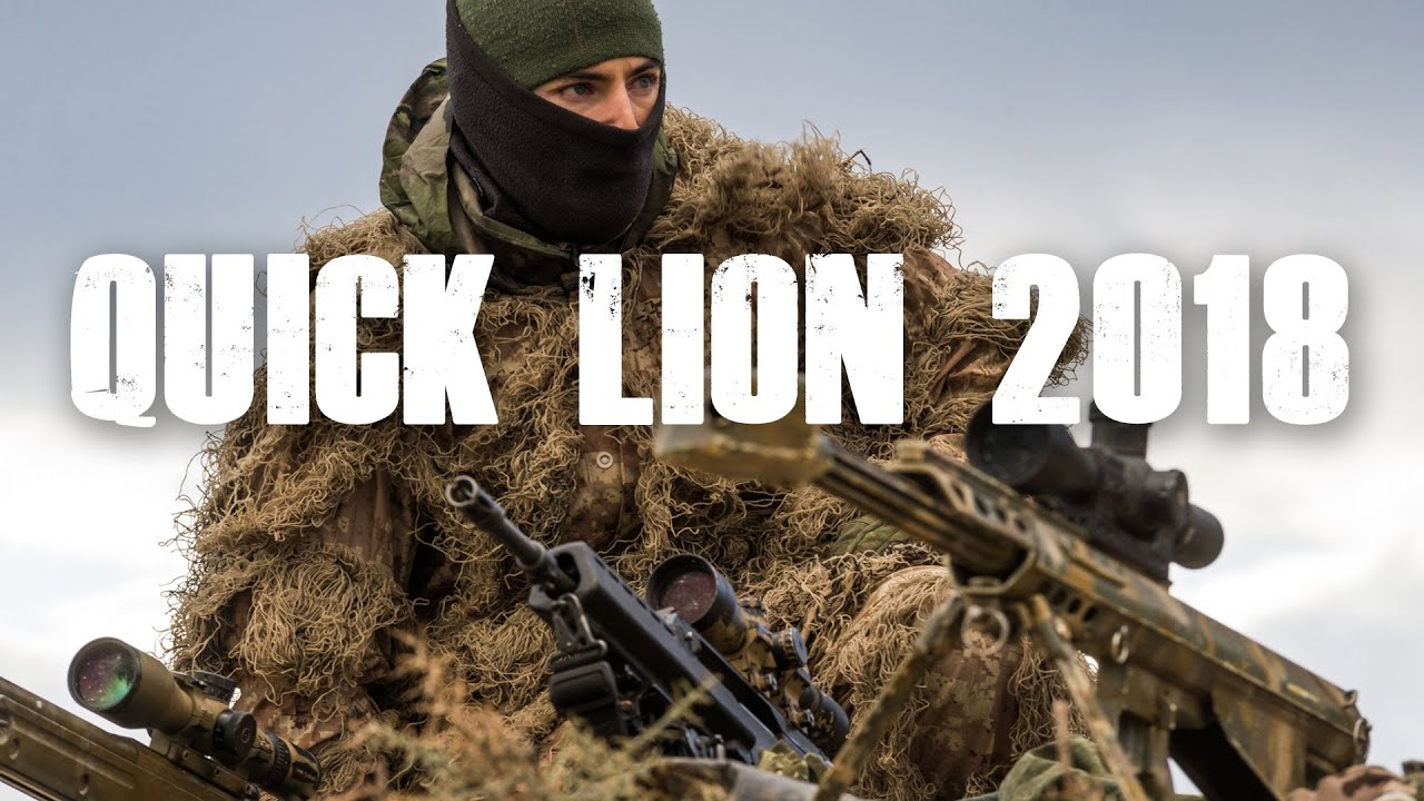 QUICK LION Brigada de la Legión San Gregorio
