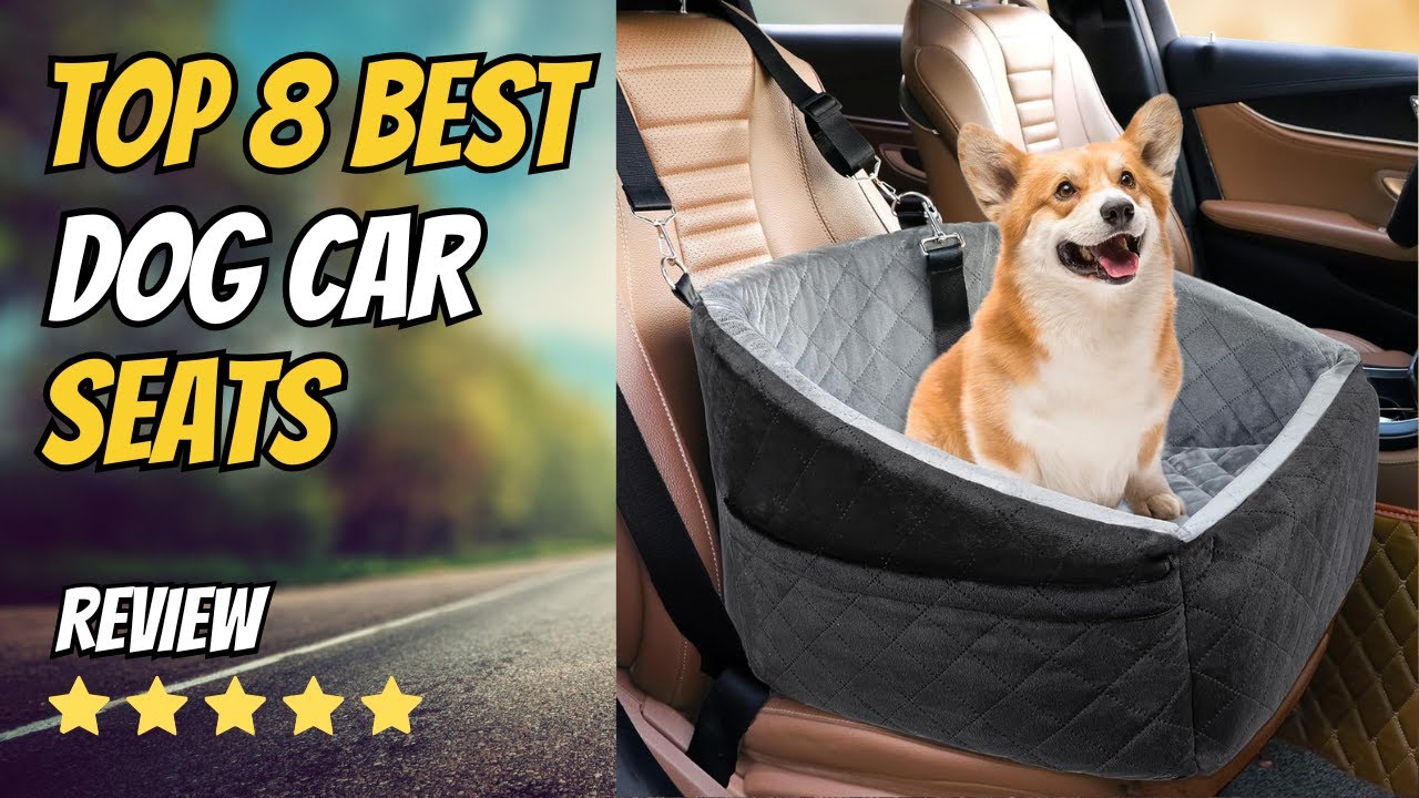 Top 8 Best Dog Car Seats of 2026 | Safest Options for Small, Medium & Large Dogs