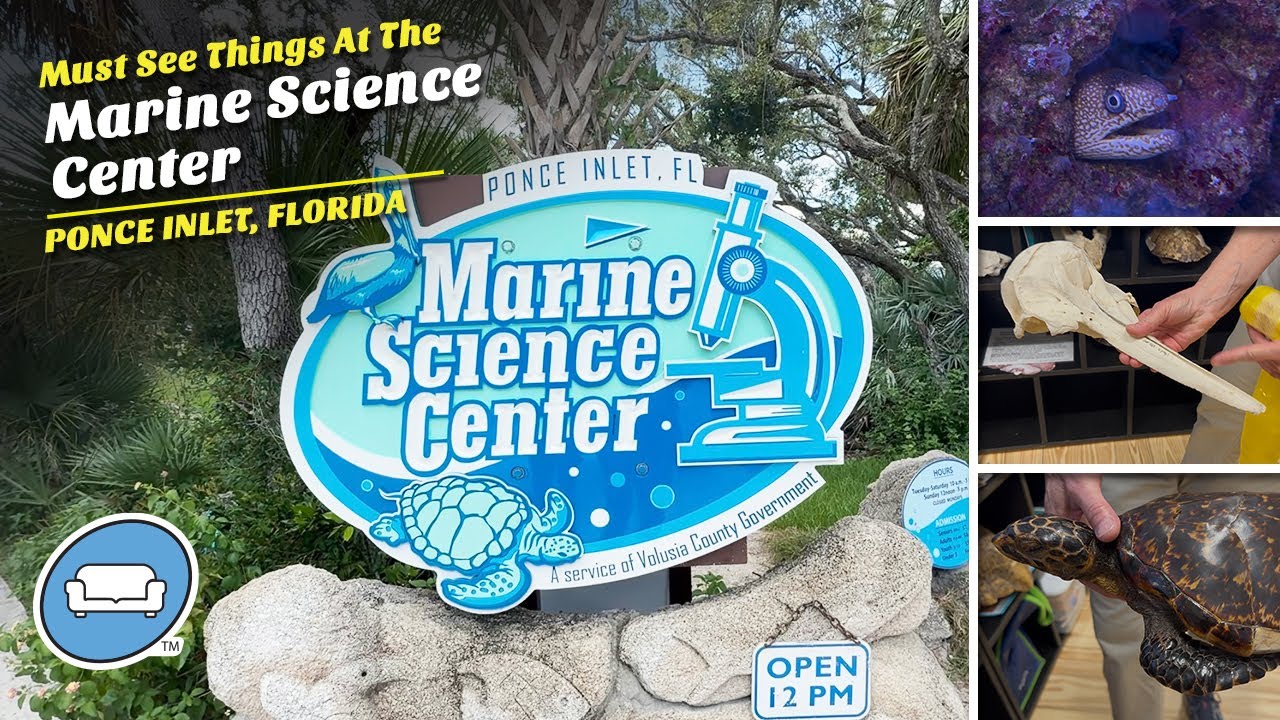 Petting and Feeding Stingrays, Viewing the New Exhibits at the Reopened Marine Science Center