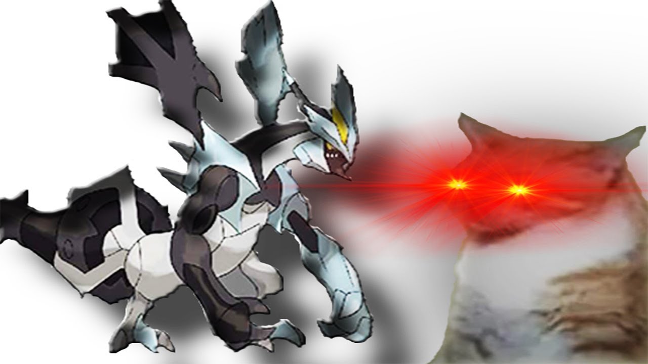 Gen 5 Music Hits Hard