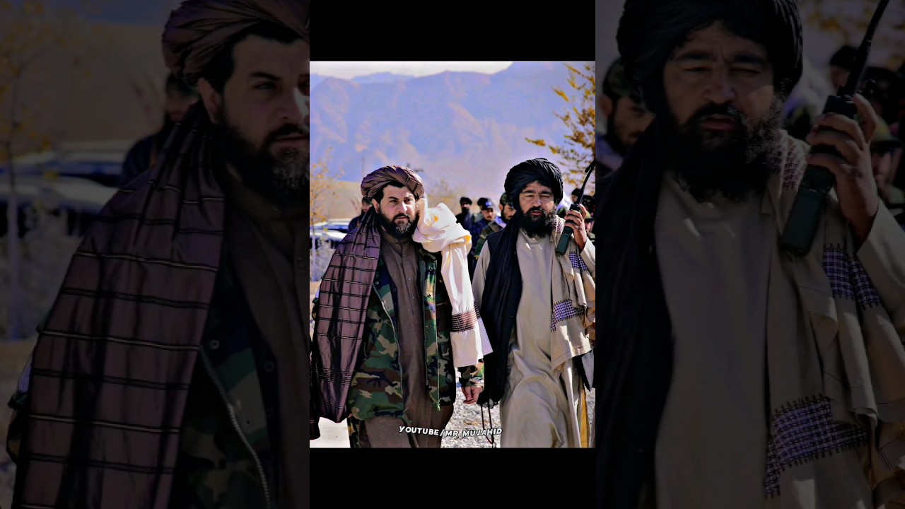 Taliban attitude Status || Taliban national forces || #taliban #army #forces #status #military #afg