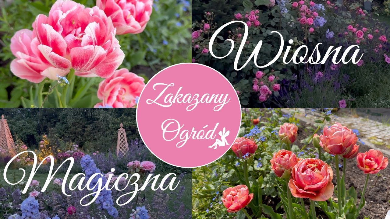 WIOSNA W OGRODZIE - Kwiaty i relaks w Zakazanym Ogrodzie