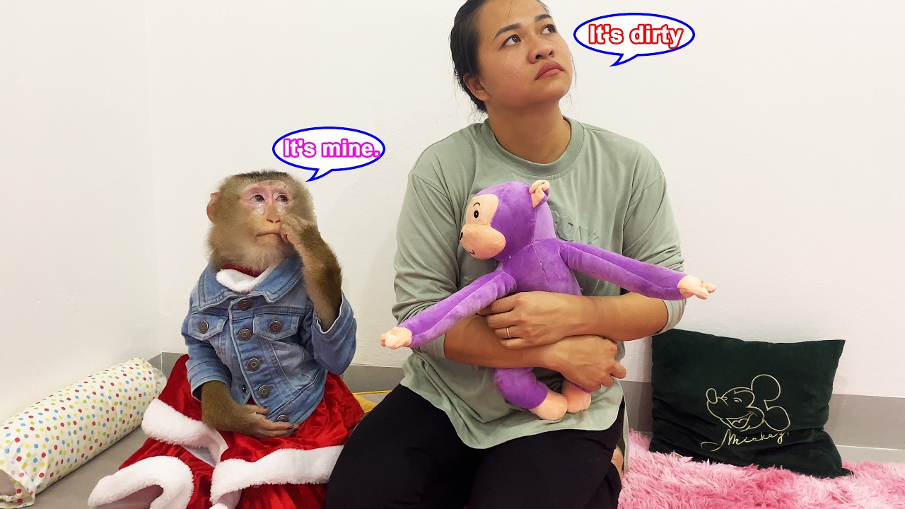 Monkey Lyly searches everywhere for her stuffed monkey friend and the truth behind it.