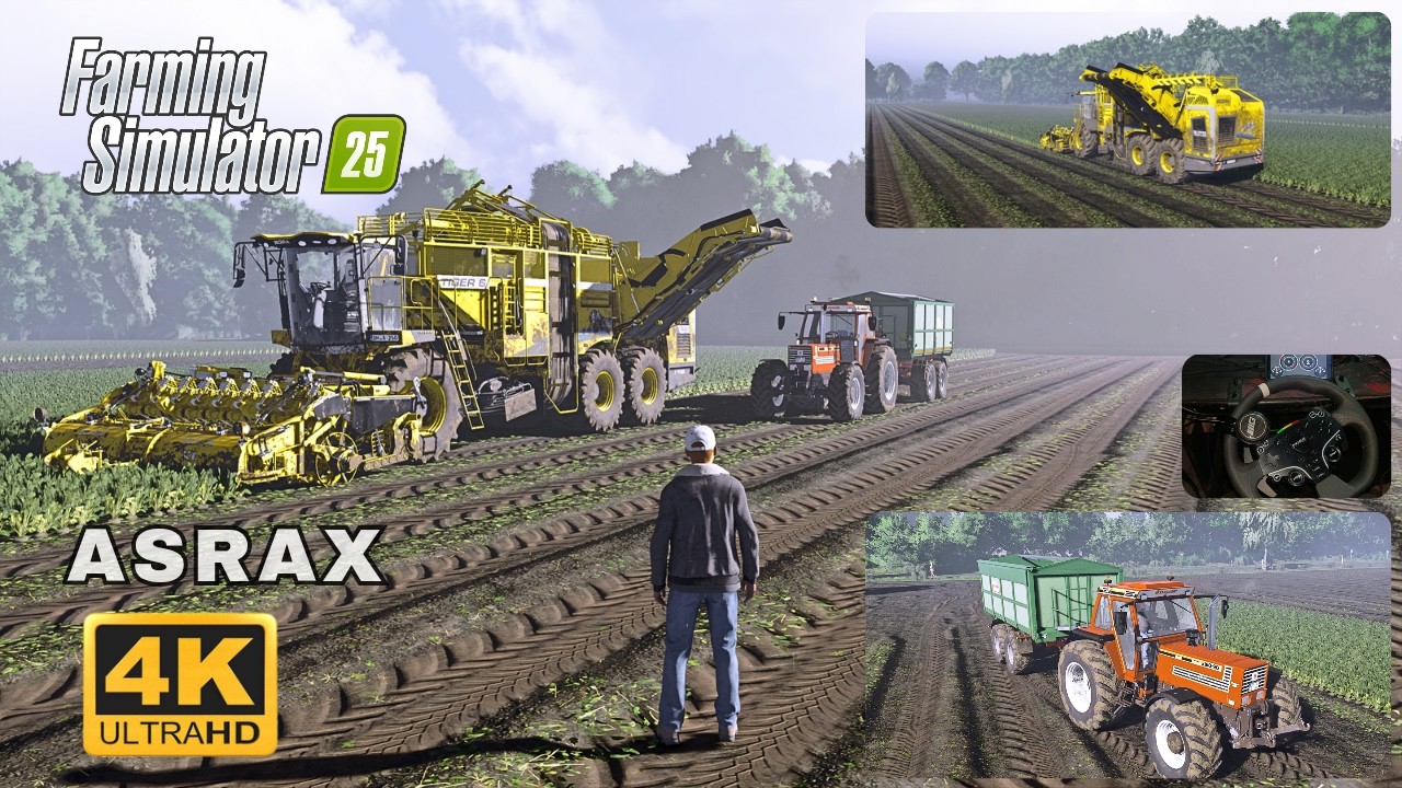 FS25 | Ultra Realistic : Sugar Beet Harvesting With Ropa Tiger 6s | Diepholz Map (ReShade Graphics)