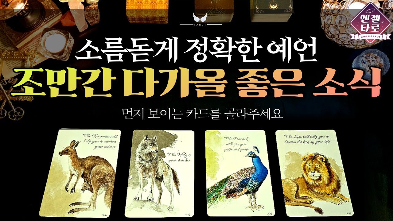 [엔젤타로]조만간 다가올 좋은 소식, 특별한 변화📮 | 정확한 시기도 알려드려요💗