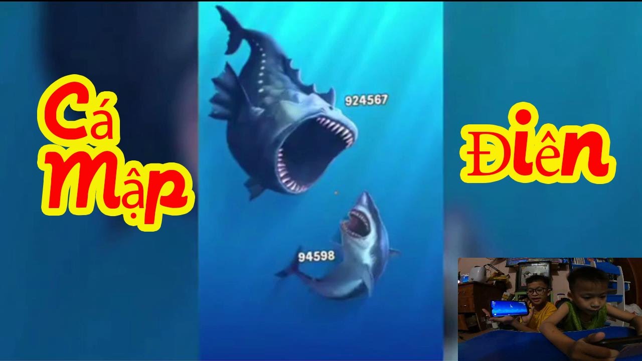 Cá Mập Điên Hungry Shark | Shin Shun TV