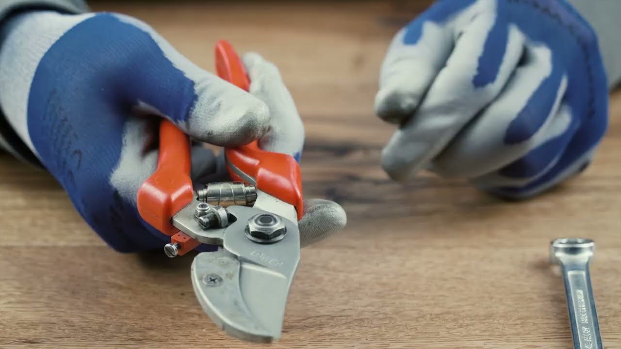 Original LÖWE 8 – Professional 