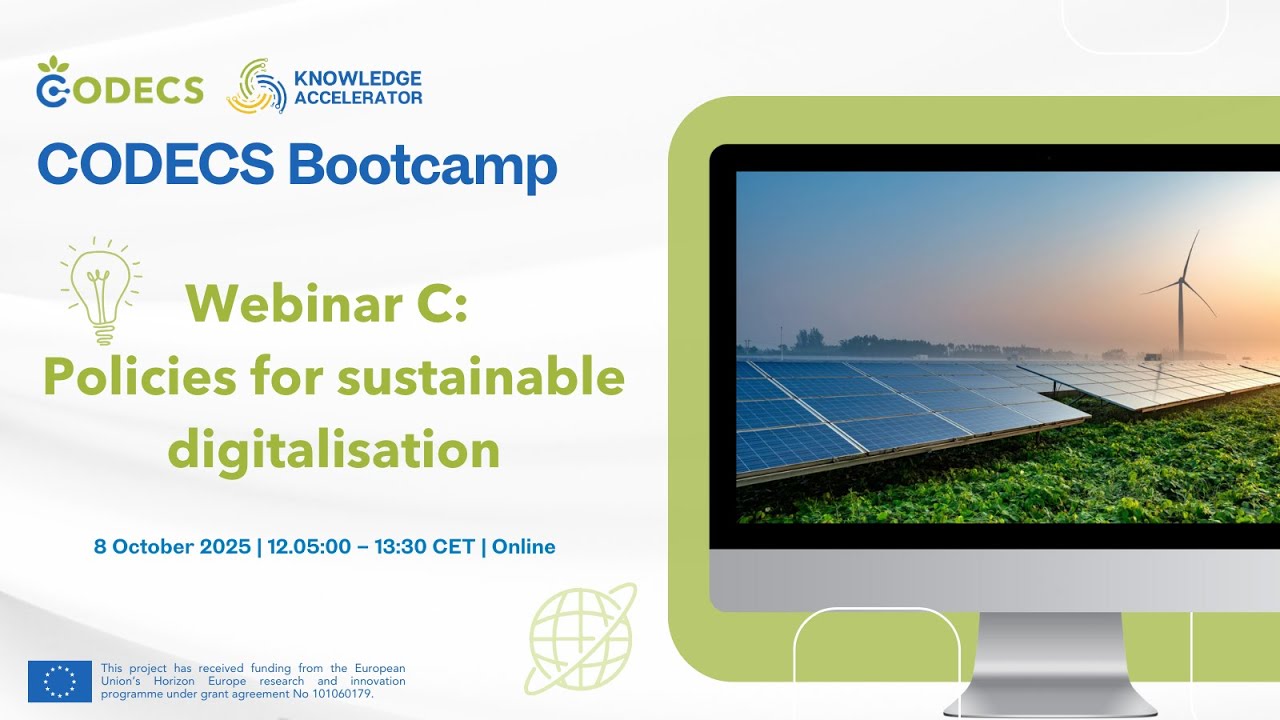 Policies for sustainable digitalisation